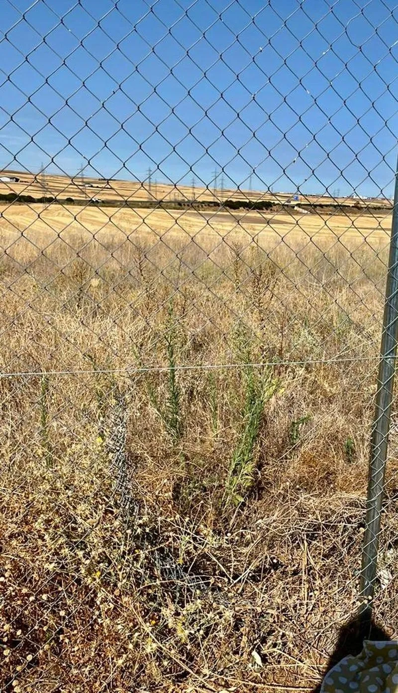 Uno de los cortes de la alambrada realizado por los ladrones