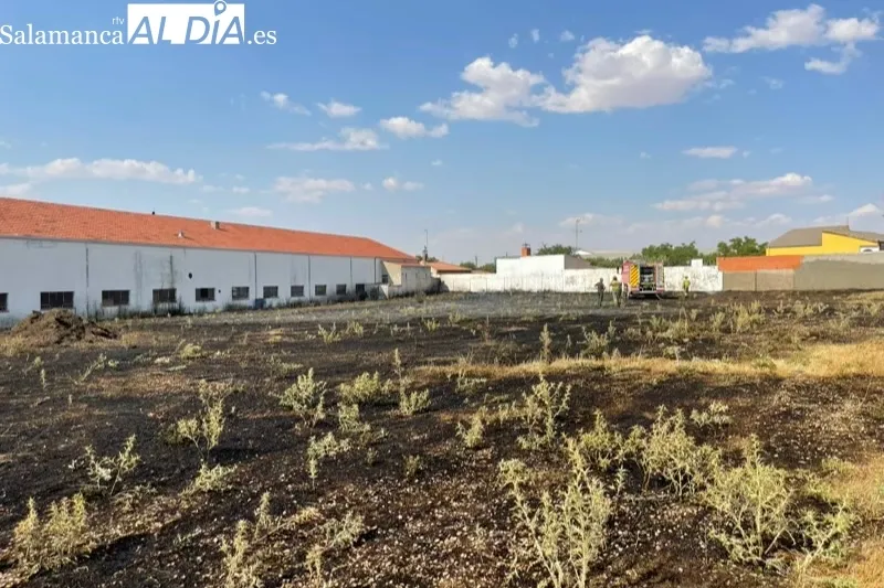 Los bomberos de Peñaranda sofocaban un incendio declarado en una parcela del polígono industrial