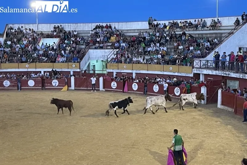 Foto 3 - Carreras y expectaci&oacute;n para recibir al Toro de Caj&oacute;n en Macotera