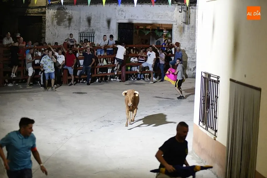 Foto 11 - Concurrid&iacute;sima madrugada taurina en Serradilla del Llano