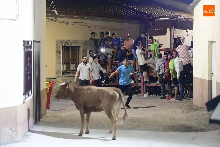 Foto 4 - Concurrid&iacute;sima madrugada taurina en Serradilla del Llano