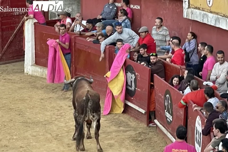 Foto 2 - Carreras y expectaci&oacute;n para recibir al Toro de Caj&oacute;n en Macotera