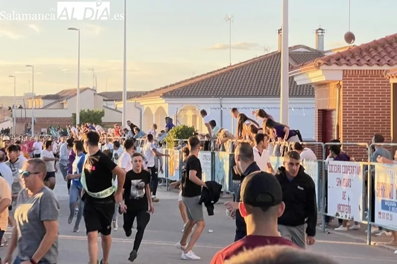 Foto 8 - Carreras y expectaci&oacute;n para recibir al Toro de Caj&oacute;n en Macotera