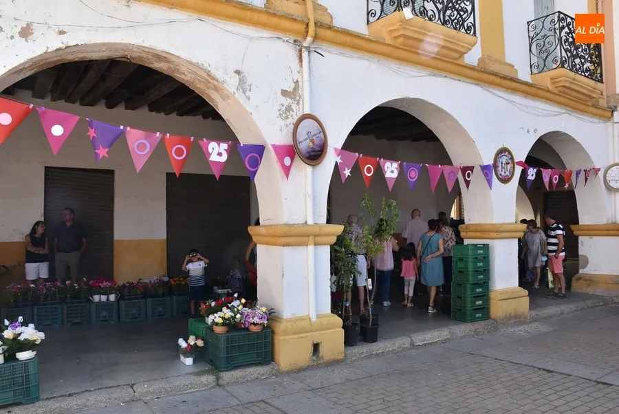 Foto 8 - D&iacute;as de Feria: Un mercado repleto de colores