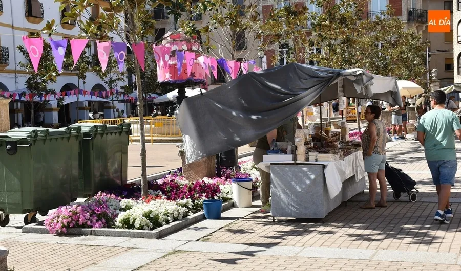 Foto 5 - D&iacute;as de Feria: Un mercado repleto de colores