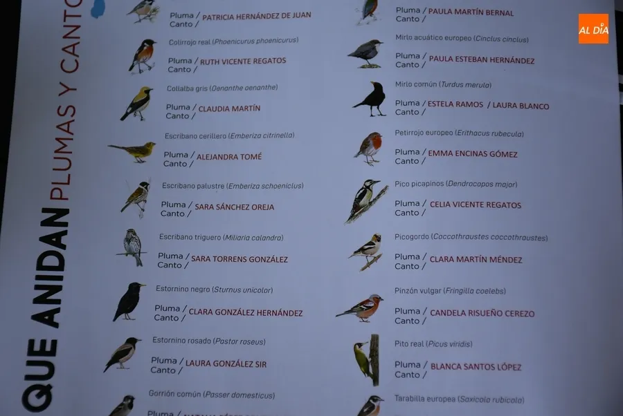 Foto 11 - J&oacute;venes del Divierteatro ponen su voz este s&aacute;bado a los p&aacute;jaros de &lsquo;Versos que anidan&rsquo;