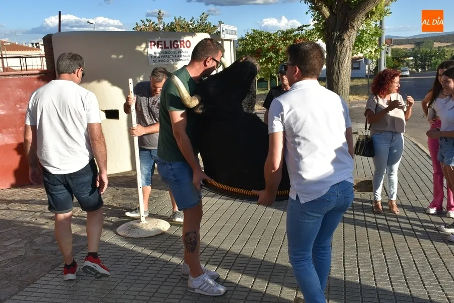 Foto 6 - Carnavaldeltoro.es entrega la cabeza de &lsquo;Precioso&rsquo; a Aiuri S&aacute;nchez