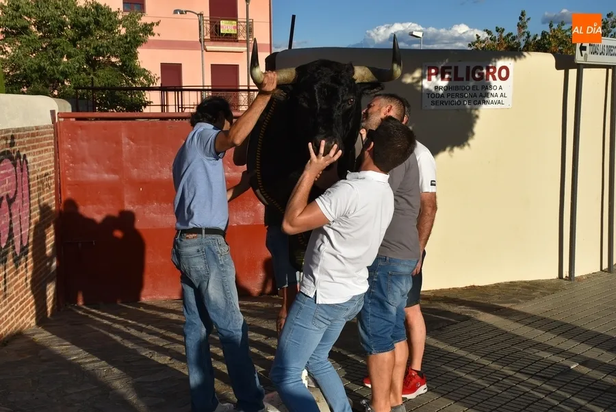 Foto 5 - Carnavaldeltoro.es entrega la cabeza de &lsquo;Precioso&rsquo; a Aiuri S&aacute;nchez