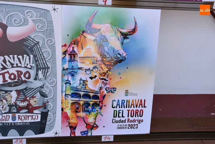 Foto 11 - Elegidos 5 finalistas para anunciar el Carnaval del Toro 2023