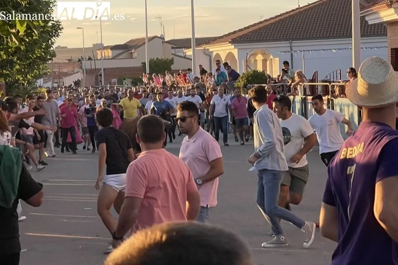 Foto 7 - Carreras y expectaci&oacute;n para recibir al Toro de Caj&oacute;n en Macotera