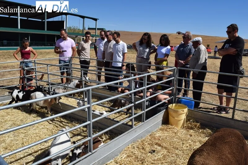 Foto 9 - Alimentaci&oacute;n, agricultura, artesan&iacute;a y maquinaria se dan cita en la VI Feria Agroalimentaria&nbsp;de Galinduste