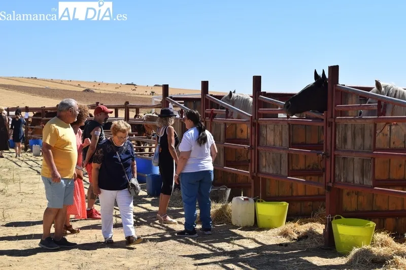 Foto 5 - Alimentaci&oacute;n, agricultura, artesan&iacute;a y maquinaria se dan cita en la VI Feria Agroalimentaria&nbsp;de Galinduste