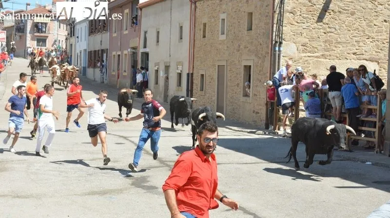 Foto 11 - Novillos y caballos vuelven a las calles de Lumbrales en el primer encierro de las fiestas del 2022