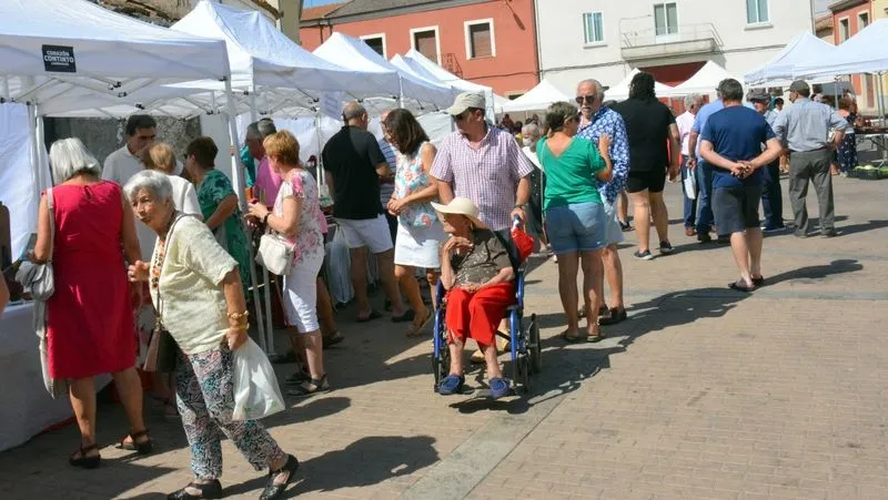Foto 11 - Lumbrales vive su &uacute;ltima cita festiva del verano con la Feria Hort&iacute;cola y una comida popular