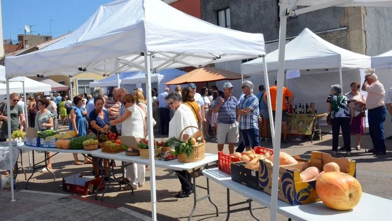 Foto 7 - Lumbrales vive su &uacute;ltima cita festiva del verano con la Feria Hort&iacute;cola y una comida popular