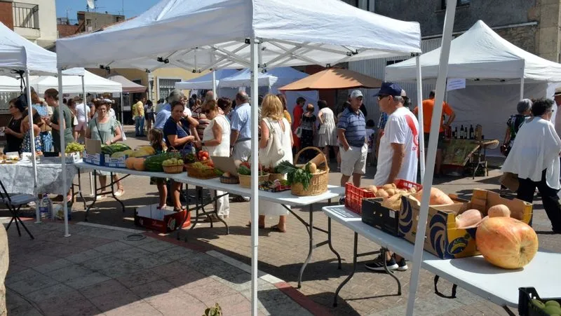 Foto 6 - Lumbrales vive su &uacute;ltima cita festiva del verano con la Feria Hort&iacute;cola y una comida popular