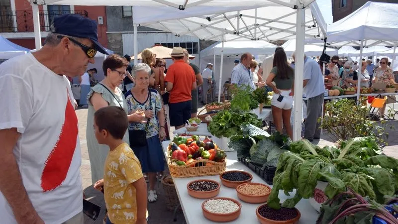 Foto 5 - Lumbrales vive su &uacute;ltima cita festiva del verano con la Feria Hort&iacute;cola y una comida popular