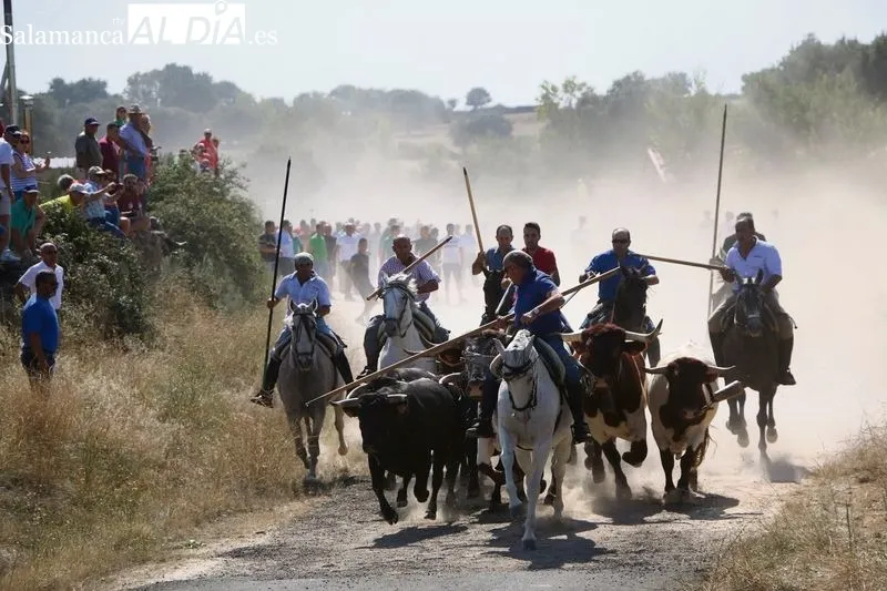 Foto 3 - "Los festejos taurinos no solo no han perdido peso en el programa sino que han ganado&rdquo;