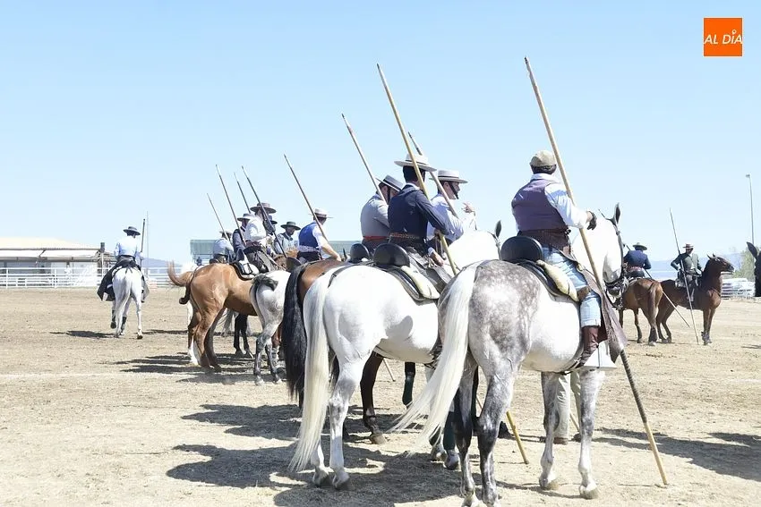 Foto 11 - 19 colleras obtienen la m&aacute;xima puntuaci&oacute;n posible en la 1&ordf; jornada de Faenas y Doma de Campo