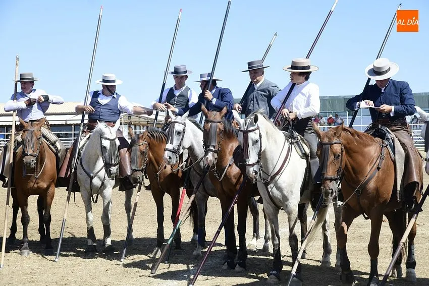 Foto 7 - 19 colleras obtienen la m&aacute;xima puntuaci&oacute;n posible en la 1&ordf; jornada de Faenas y Doma de Campo