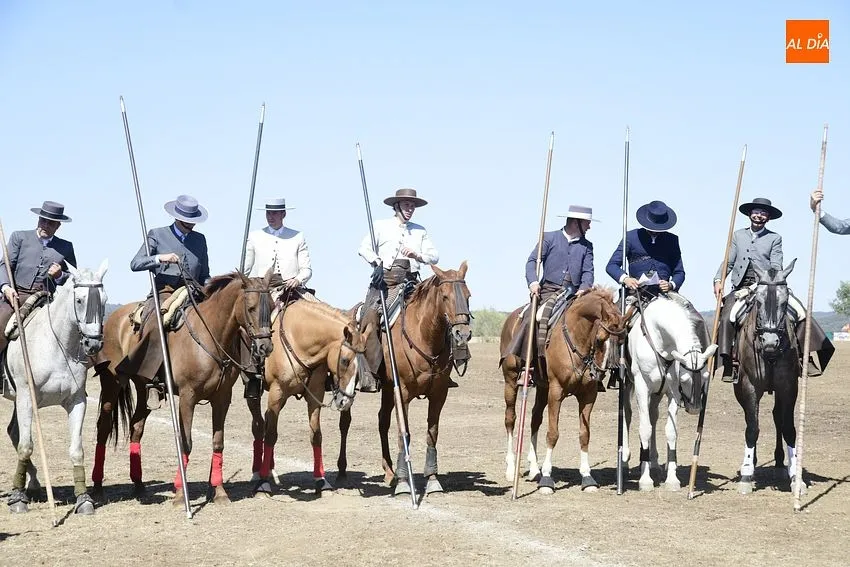 Foto 8 - 19 colleras obtienen la m&aacute;xima puntuaci&oacute;n posible en la 1&ordf; jornada de Faenas y Doma de Campo