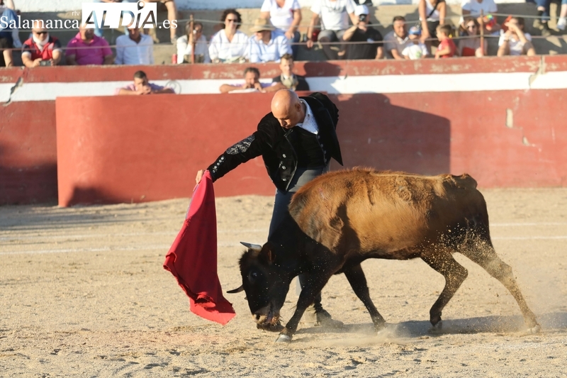 XI Bolsín Taurino de Rollanejo de Aficionados Prácticos en El Cubo de Don Sancho / FOTOS: MIGUEL HERNÁNDEZ
