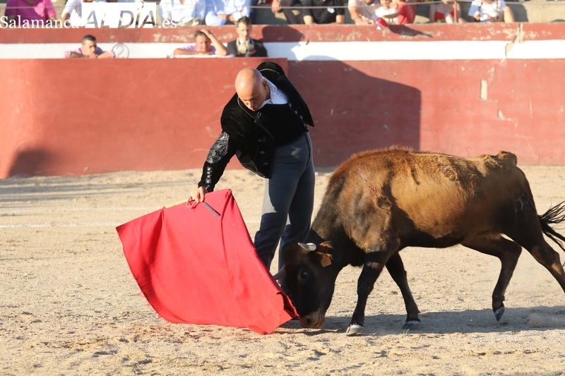 XI Bolsín Taurino de Rollanejo de Aficionados Prácticos en El Cubo de Don Sancho / FOTOS: MIGUEL HERNÁNDEZ