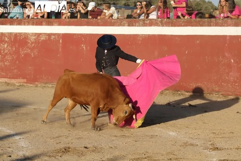 XI Bolsín Taurino de Rollanejo de Aficionados Prácticos en El Cubo de Don Sancho / FOTOS: MIGUEL HERNÁNDEZ