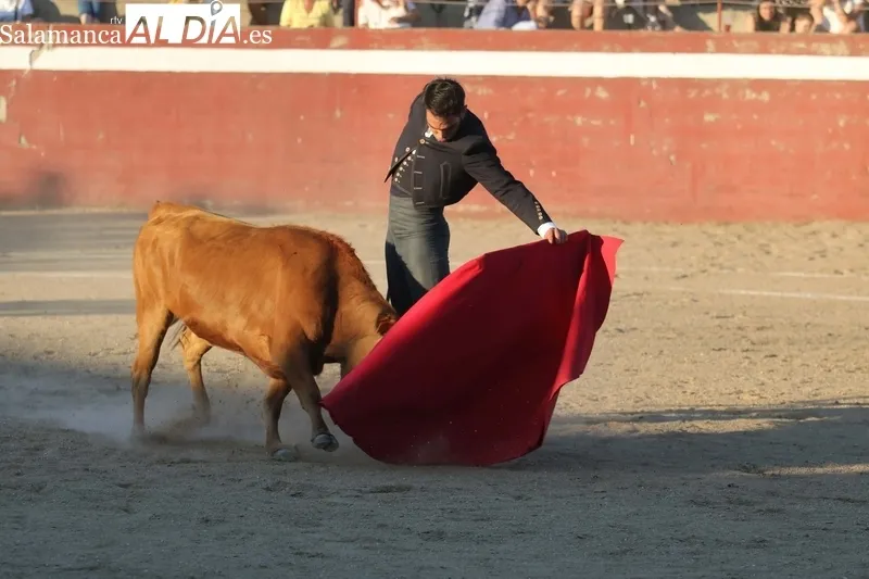 XI Bolsín Taurino de Rollanejo de Aficionados Prácticos en El Cubo de Don Sancho / FOTOS: MIGUEL HERNÁNDEZ