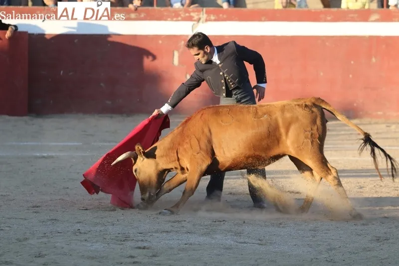 XI Bolsín Taurino de Rollanejo de Aficionados Prácticos en El Cubo de Don Sancho / FOTOS: MIGUEL HERNÁNDEZ