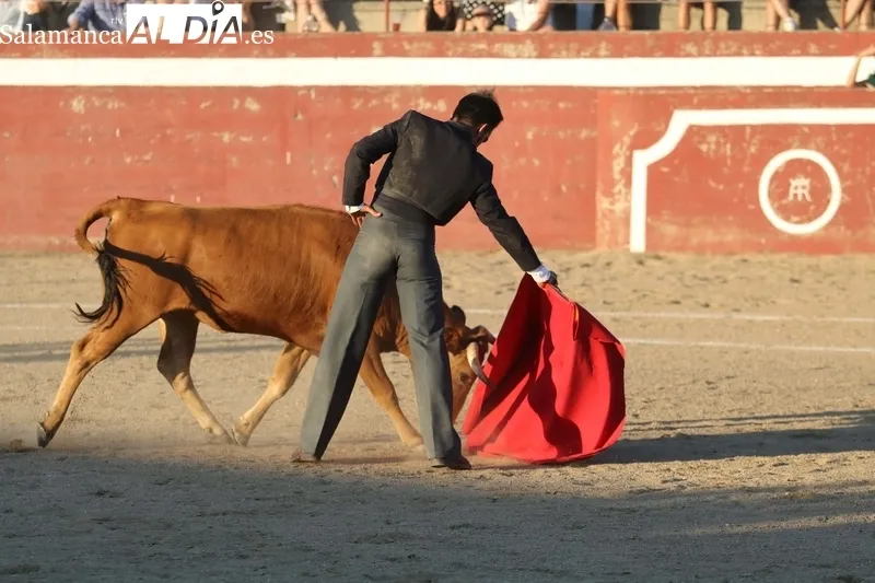XI Bolsín Taurino de Rollanejo de Aficionados Prácticos en El Cubo de Don Sancho / FOTOS: MIGUEL HERNÁNDEZ
