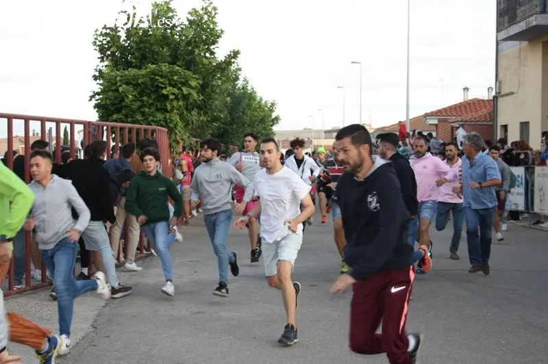 Macotera vivía un multitudinario primer encierro de San Roque