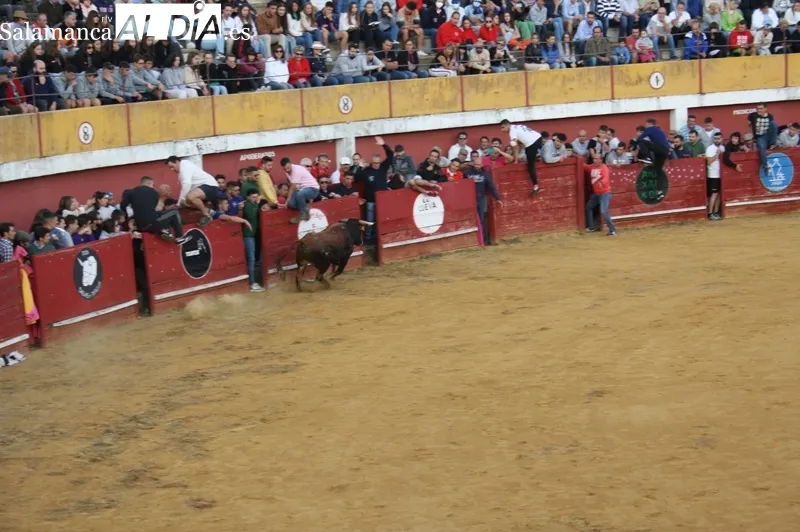 Macotera vivía un multitudinario primer encierro de San Roque