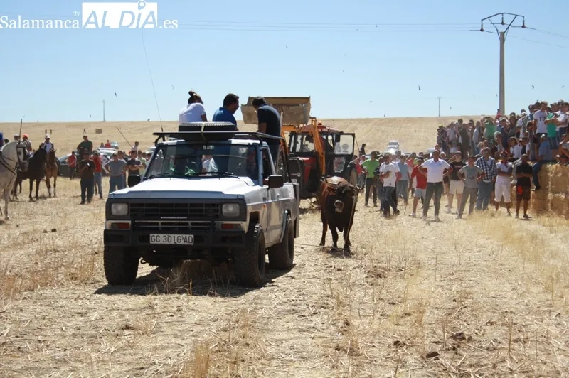 Macotera celebraba este viernes su XX encierro a caballo