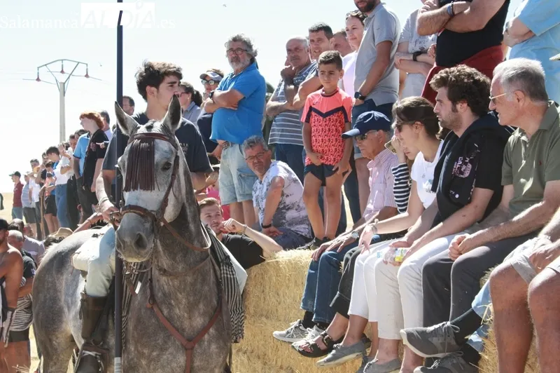 Macotera celebraba este viernes su XX encierro a caballo