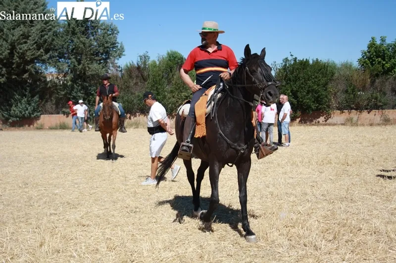 Macotera celebraba este viernes su XX encierro a caballo