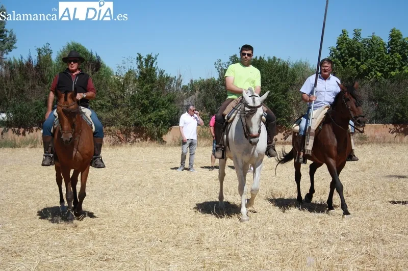 Macotera celebraba este viernes su XX encierro a caballo