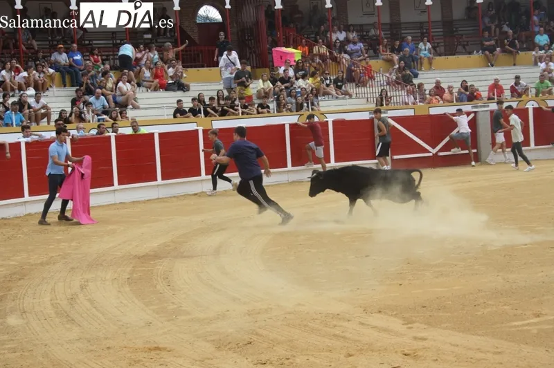 La Plaza de toros La Florida acogía este viernes una suelta popular de vaquillas