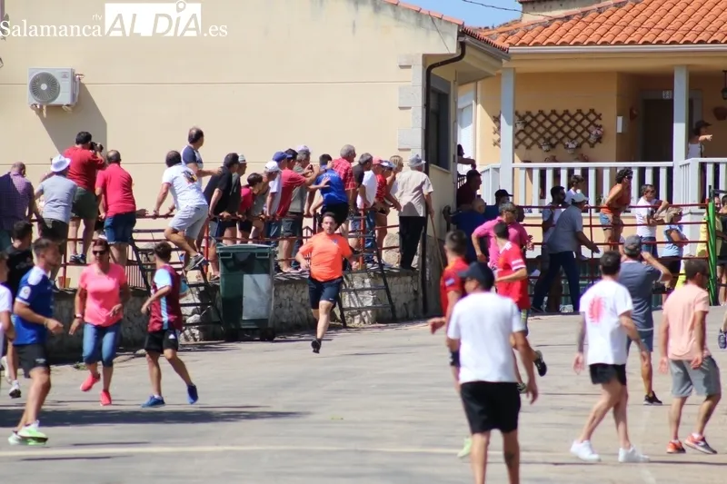 Segundo encierro de las fiestas de Saucelle / CORRAL