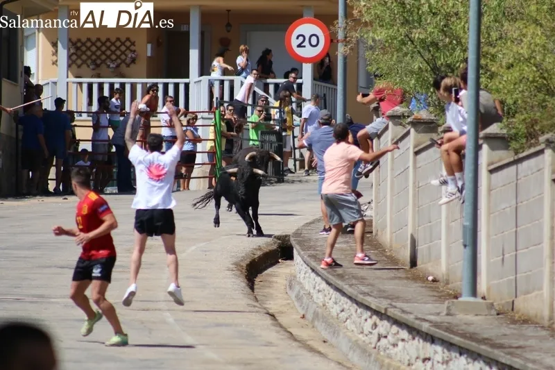 Segundo encierro de las fiestas de Saucelle / CORRAL