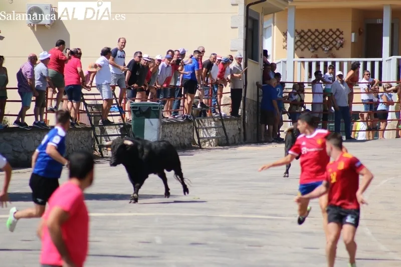 Segundo encierro de las fiestas de Saucelle / CORRAL