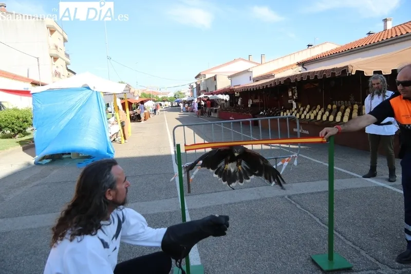 La Feria Medieval de Vitigudino e ubica en la zona del habitual mercadillo de los martes / CORRAL 