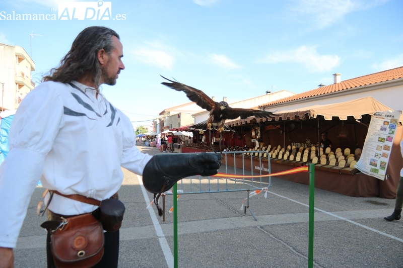 La Feria Medieval de Vitigudino e ubica en la zona del habitual mercadillo de los martes / CORRAL 