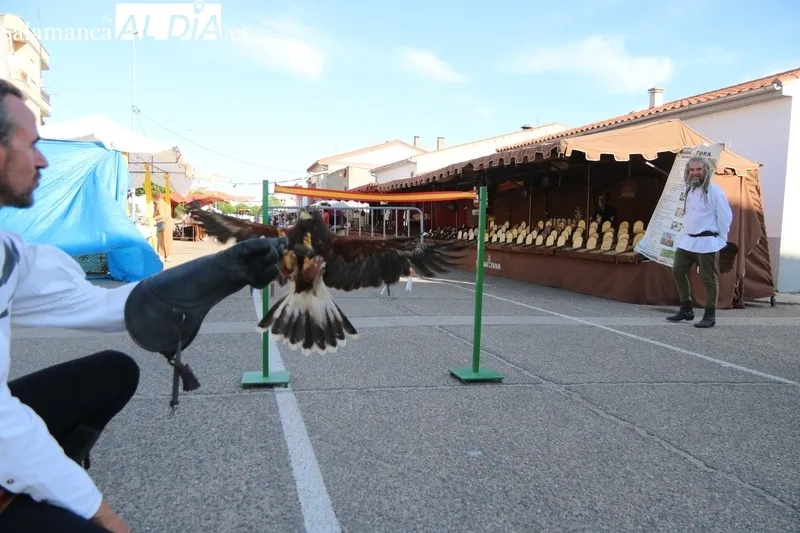 La Feria Medieval de Vitigudino e ubica en la zona del habitual mercadillo de los martes / CORRAL 