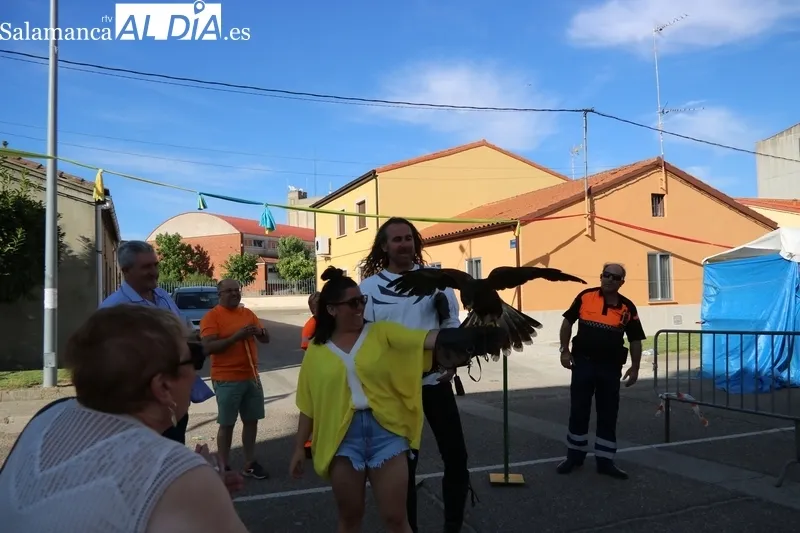 La Feria Medieval de Vitigudino e ubica en la zona del habitual mercadillo de los martes / CORRAL 