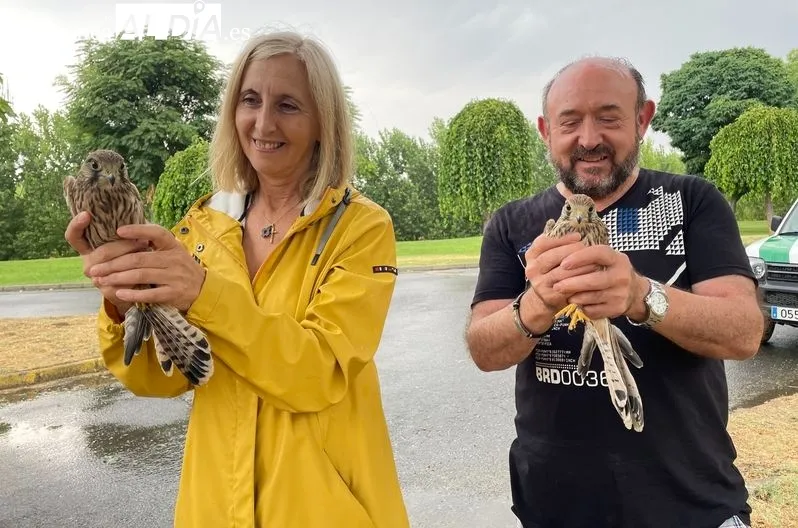Foto 6 - Devueltas a la naturaleza doce aves tratadas en el Centro de Recuperaci&oacute;n de Fauna &lsquo;Las Dunas&rsquo;