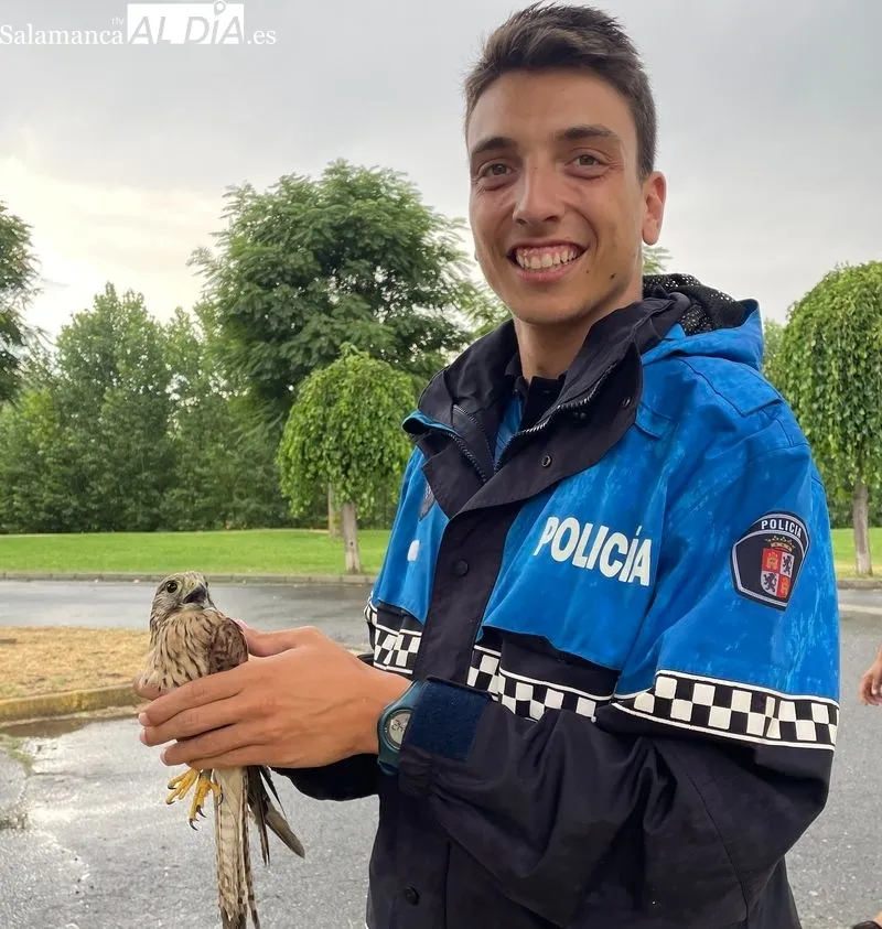 Foto 5 - Devueltas a la naturaleza doce aves tratadas en el Centro de Recuperaci&oacute;n de Fauna &lsquo;Las Dunas&rsquo;
