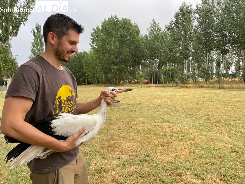 Foto 3 - Devueltas a la naturaleza doce aves tratadas en el Centro de Recuperación de Fauna ‘Las Dunas’
