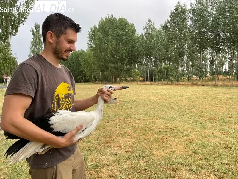 Foto 3 - Devueltas a la naturaleza doce aves tratadas en el Centro de Recuperaci&oacute;n de Fauna &lsquo;Las Dunas&rsquo;