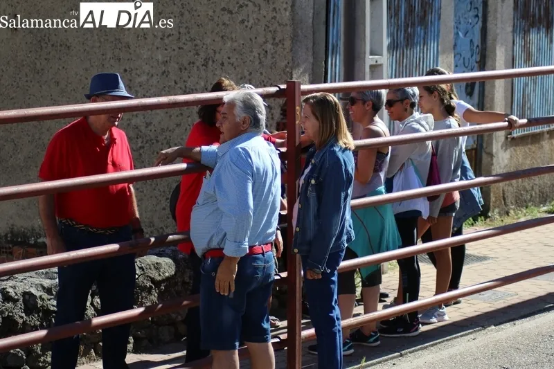 Primer encierro de las fiestas de Villarino con novillos de Valrubio / CORRAL